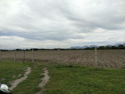 img1